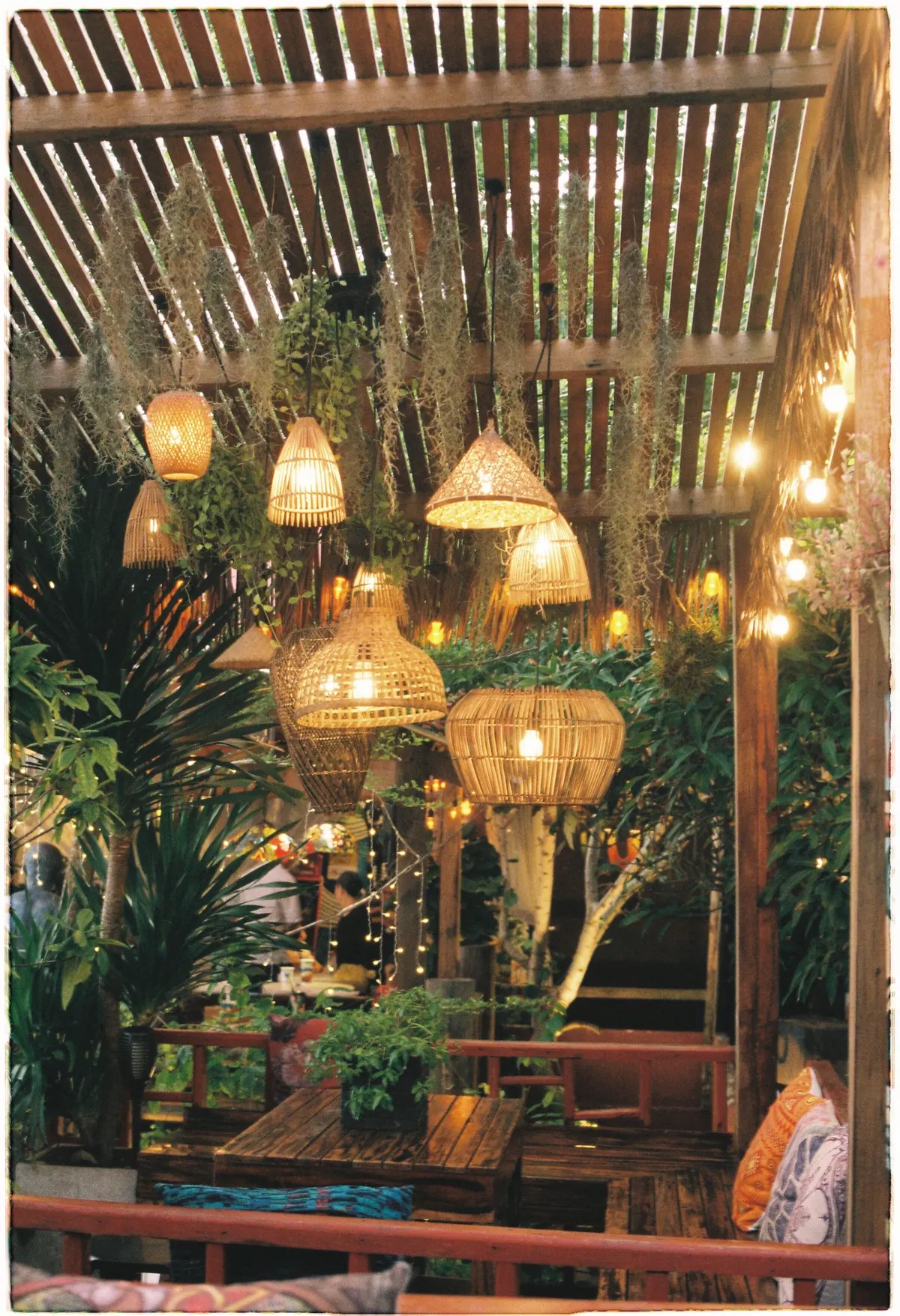 Warm lanterns hanging over a tropical terrace